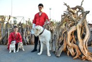 Photo story: Harvest Festival celebrated in Turkmenistan