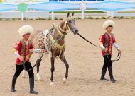 Photoreport from the international beauty contest on the occasion of the national day of the Turkmen horse