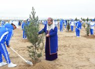 Fotoreportaž: Türkmenistanda 1 million 600 müň düýpden gowrak bag ekildi