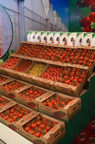 Photo report from the international exhibition “Agro-Pak Turkmenistan-2023”