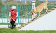 Ahal welaýatynda geçirilen «Ýylyň türkmen edermen alabaýy» atly halkara bäsleşiginden fotoreportaž