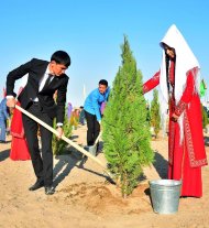 Photoreport: National tree celebrations held in Turkmenistan