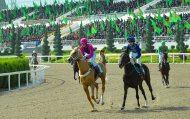 Solemn events in honor of the National holiday of the Turkmen horse were held in Ashgabat