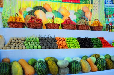 Photo story: Harvest Festival celebrated in Turkmenistan