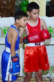 Photo report: A sporting event to promote a healthy lifestyle in the Berkarar shopping center