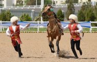 The second round of the international beauty contest of Akhal-Teke horses took place in Ashgabat