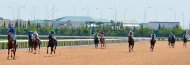 Photoreport: The best rider-mentor was awarded a valuable prize from the President of Turkmenistan