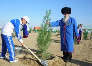 Фоторепортаж: в Туркменистане прошла общенациональная акция по посадке деревьев 