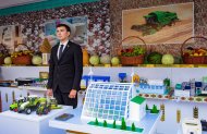 Harvest Festival celebrated in Turkmenistan