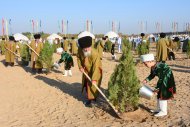 Photoreport: National tree celebrations held in Turkmenistan