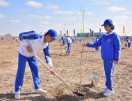  Photo story: Over 1 million 604 thousand trees planted in Turkmenistan