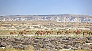 Türkmenistan, Turizm Diyaloğu’nun uygulamasına başlamayı önerdi