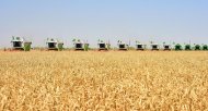 Photoreport: Grain harvesting began in Akhal, Lebap and Mary velayats