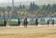 В Туркменистане прошли праздничные скачки