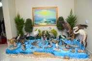 An exhibition dedicated to the beauty of the nature of the Caspian Sea was held in Ashgabat