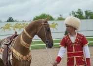 Türkmenistanda geçirilen ahalteke atlarynyň halkara gözellik bäsleşiginden