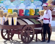 Photoreport: Grain harvesting began in Akhal, Lebap and Mary velayats