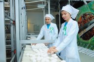 Photo report: A new poultry complex opened in Akhal velayat