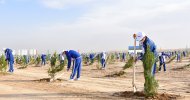 Fotoreportaž: Türkmenistanda bag ekmek çäresi geçirildi