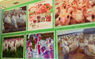 Fotoröportaj: Agro Pack Türkmenistan ve Türkmen Gıda Fuarı Aşkabat'ta başladı