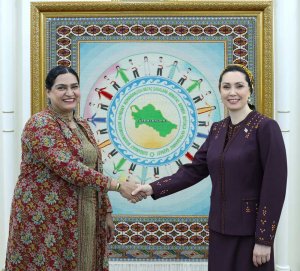 Vice President of the Charity Fund and Head of UNICEF in Turkmenistan Discussed Cooperation