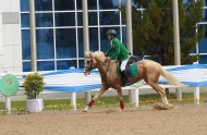 Show jumping competitions held in Ashgabat