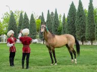 Akhal-Teke at güzellik yarışmasının ikinci turu Türkmenistan'da yapıldı