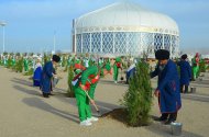 Фоторепортаж: в Туркменистане прошла общенациональная акция по посадке деревьев 