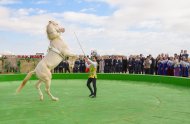 Fotoreportaž: Türkmenistanda Milli bahar baýramy - Halkara Nowruz güni giňden bellenildi