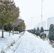 Photoreport: Ashgabat was covered with white snow