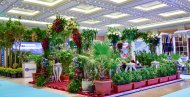 Фоторепортаж: в Ашхабаде прошла Международная выставка «Белый город Ашхабад»