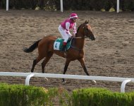 Spring racing season starts in Turkmenistan