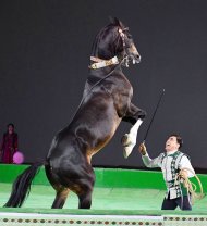 Photo report: Galkynysh equestrian group from Turkmenistan won the King and the people of Bahrain