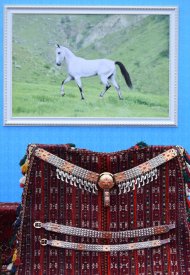 Photo report: Festive horse racing in honor of Independence Day was held in Turkmenistan