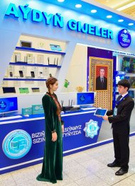 Photoreport from the exhibition in honor of the 30th anniversary of the independence of Turkmenistan