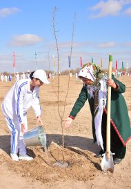  Photo story: Over 1 million 604 thousand trees planted in Turkmenistan