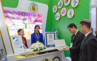 The exhibition of economic achievements of Turkmenistan continues in Ashgabat