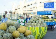 Фоторепортаж: торжества в честь дня туркменской дыни