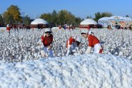 Фоторепортаж: В Туркменистане отметили Праздник урожая