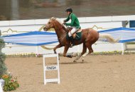 Show jumping competitions held in Ashgabat