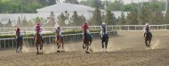 Spring racing season starts in Turkmenistan