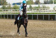 Spring racing season starts in Turkmenistan