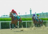 Solemn events in honor of the National holiday of the Turkmen horse were held in Ashgabat