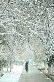 Photoreport: Ashgabat was covered with white snow