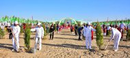 Photoreport: National tree celebrations held in Turkmenistan