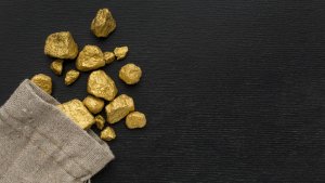 Французский фермер нашел золото на €3,5 млрд, но не получит ничего