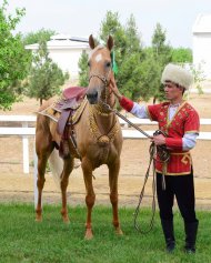 Photoreport from the international beauty contest on the occasion of the national day of the Turkmen horse