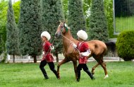 The second round of the Akhal-Teke horse beauty contest took place in Turkmenistan