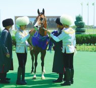 Photo report: Autumn horse racing season begins in Turkmenistan