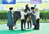 Photo report: Autumn horse racing season begins in Turkmenistan